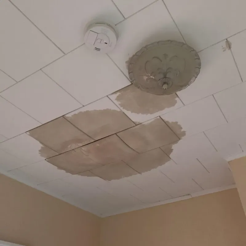 Ceiling Water Damage Repair in Oakley, KS