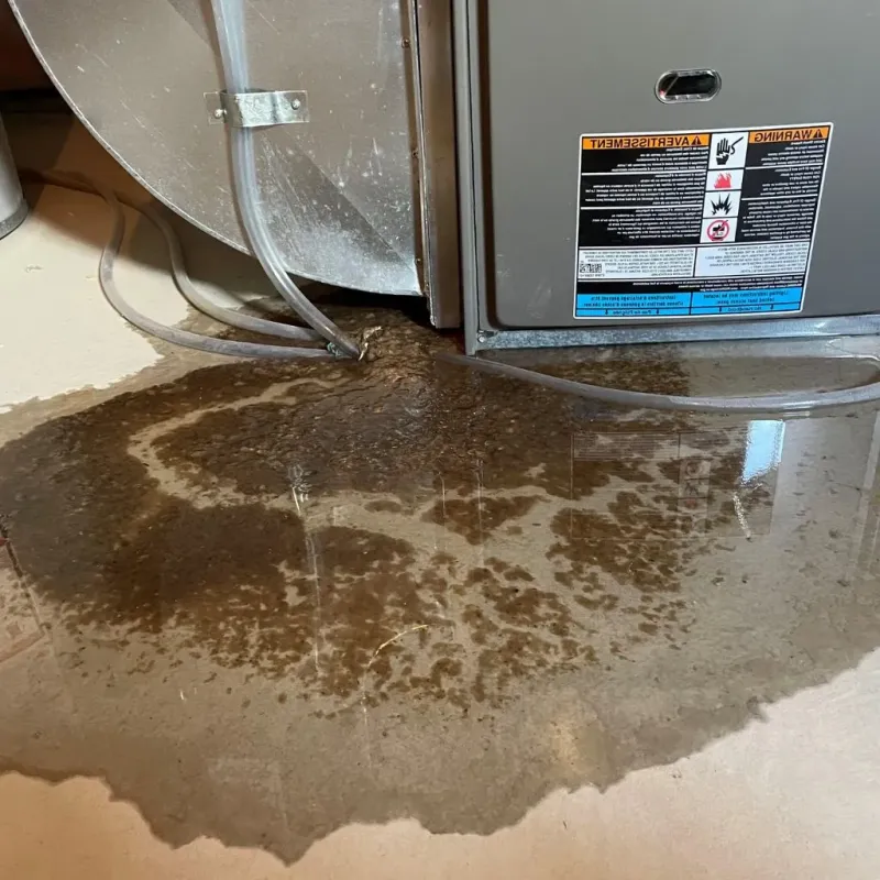 Pipe Burst and Leak Restoration in Oakley, KS