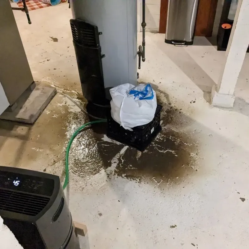 Sewage Backup Cleanup Service in Oakley, KS
